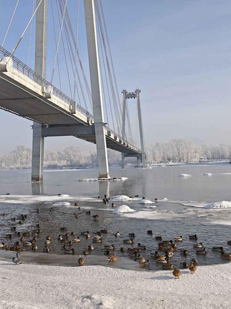 Photograph by Людмила Воропаева