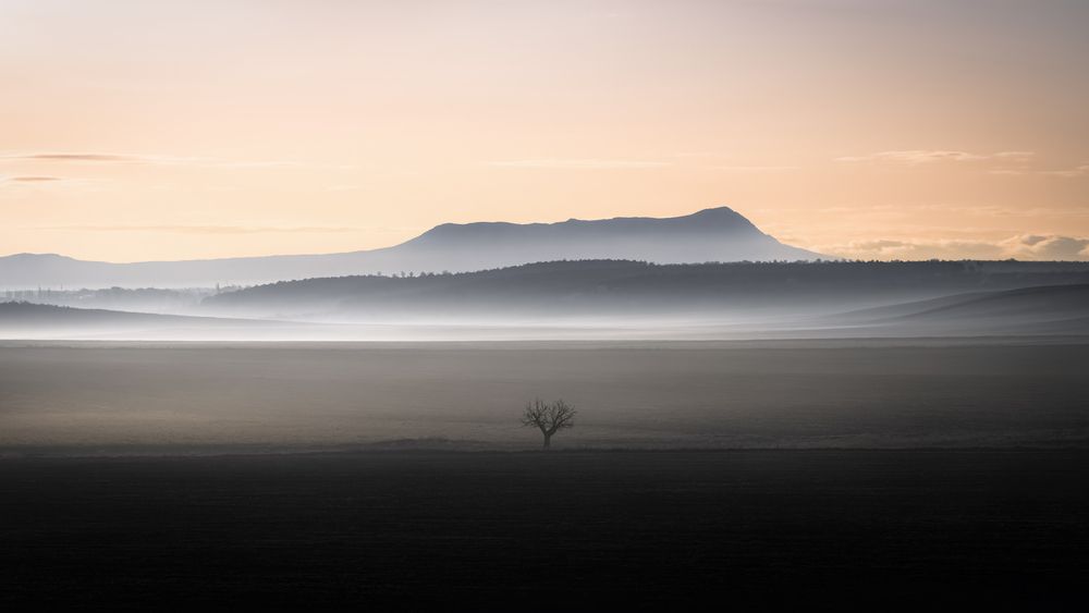 Photograph by Александр Дацюк