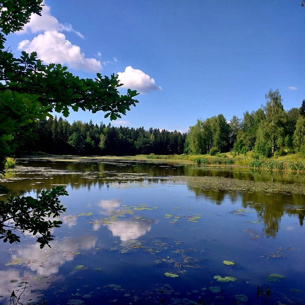 Photograph by Олеся Матвеева