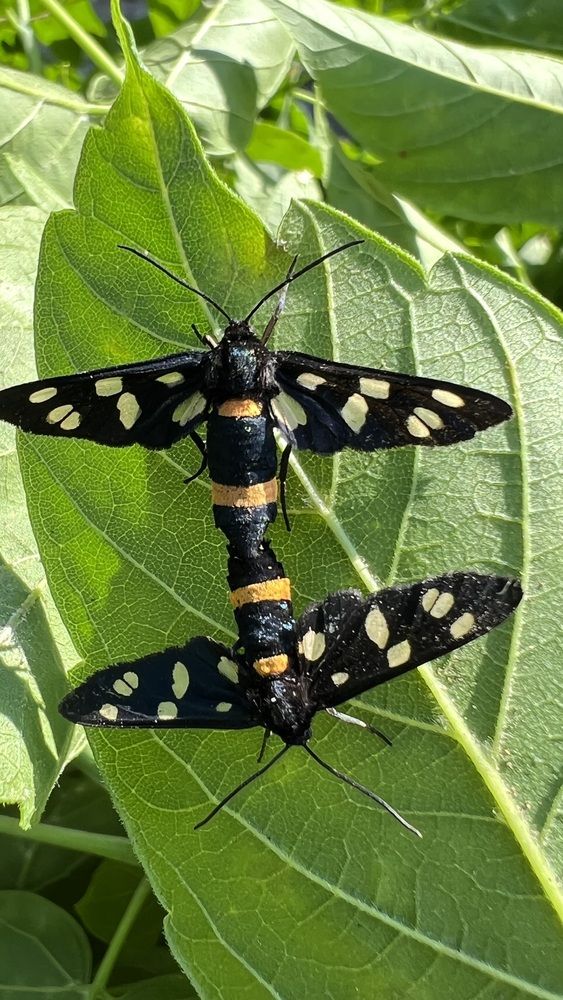 Фотография автора Tatyana Salieva