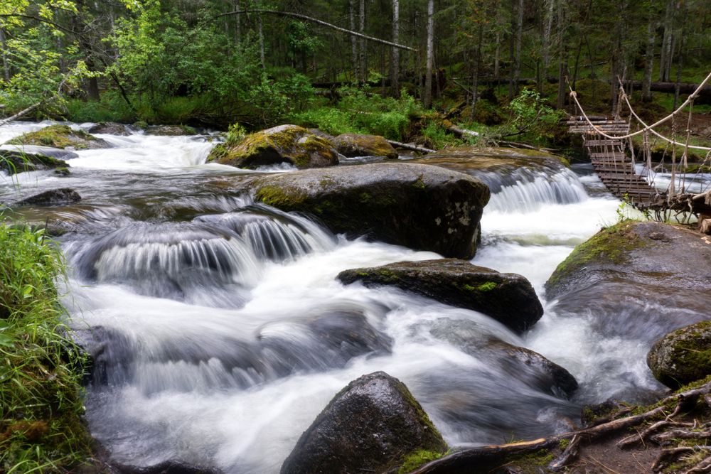 Photograph by Ксения Дудкина