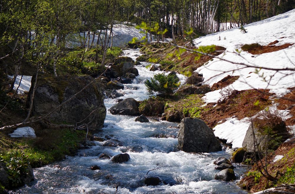 Photograph by Ксения Дудкина