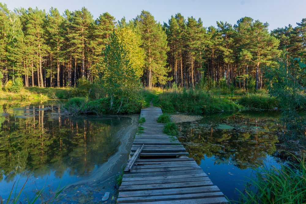 Photograph by Ксения Дудкина