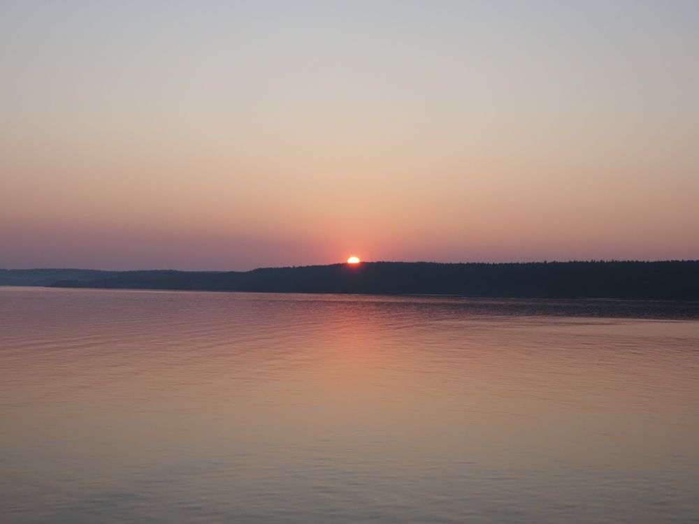 Photo #13398350