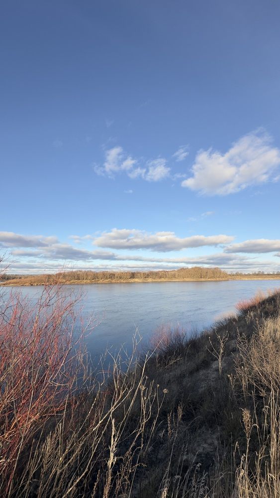 Photograph by Ksenia Rastokina