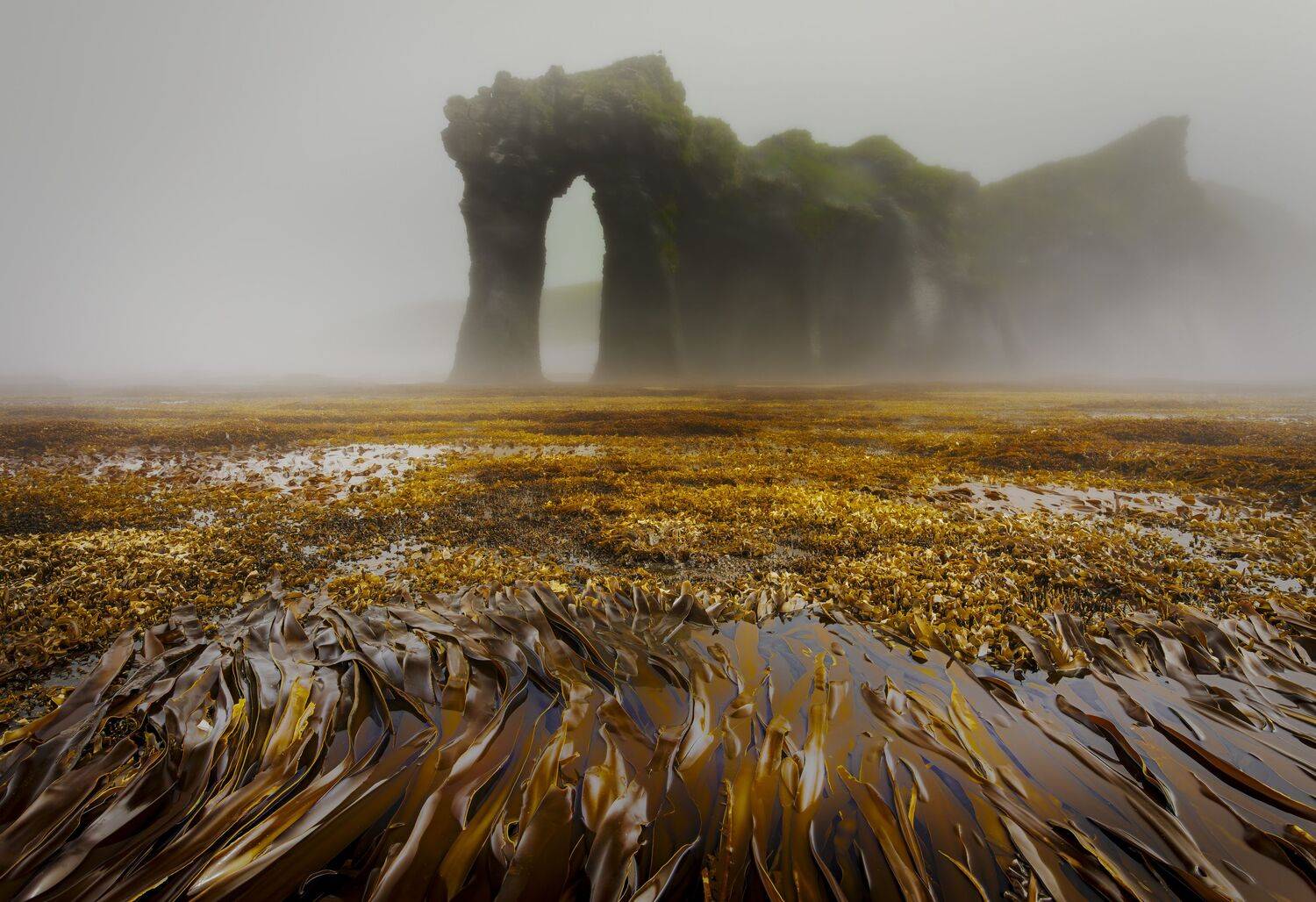 Such different Kuril Islands