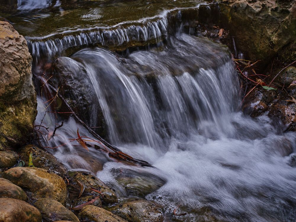 Фотография автора David Solodar