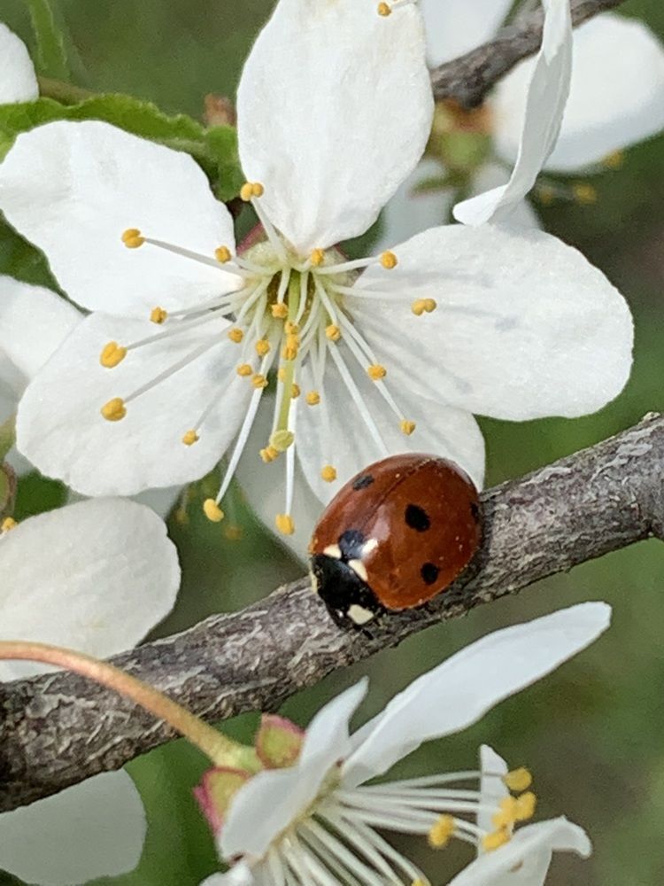Photograph by Ирина Шпаковская