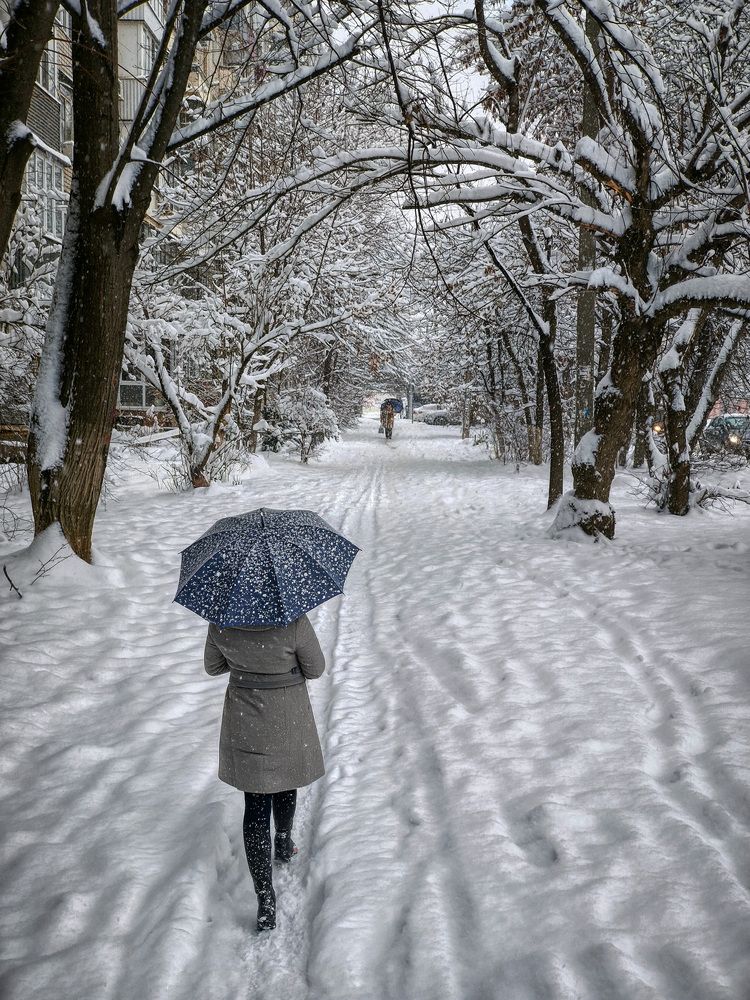 Photograph by Юрий Левко