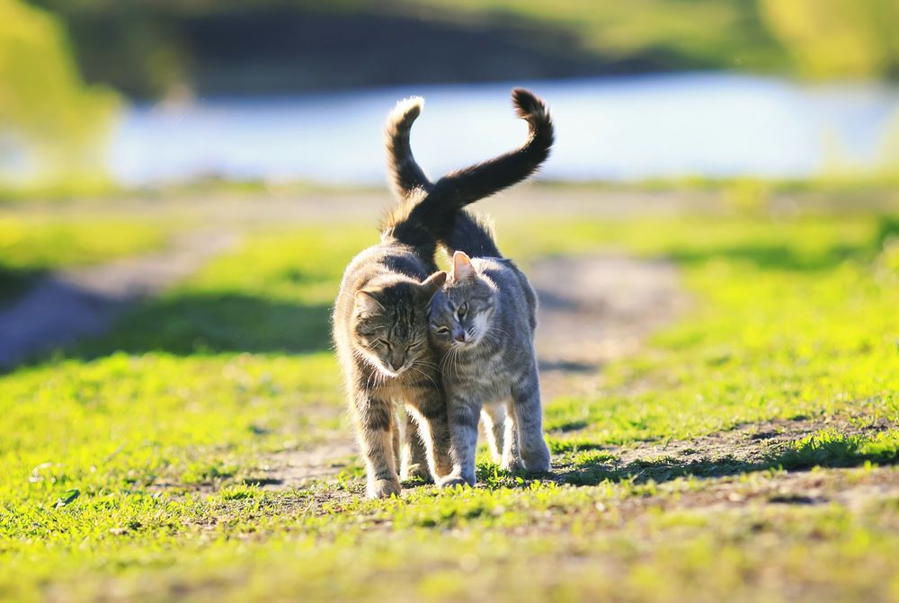 Photograph by Наталья