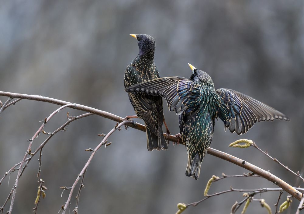 Photograph by Наталья