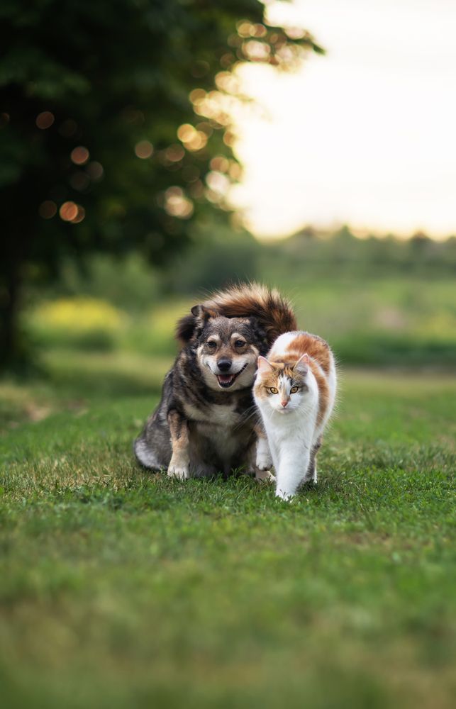 Photograph by Наталья