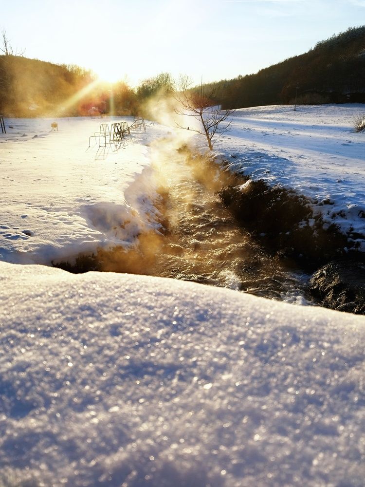 Фотография автора JELENA VASIC