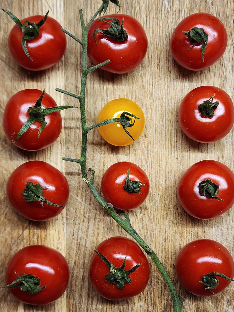 Photograph by Светлана Афанасьева