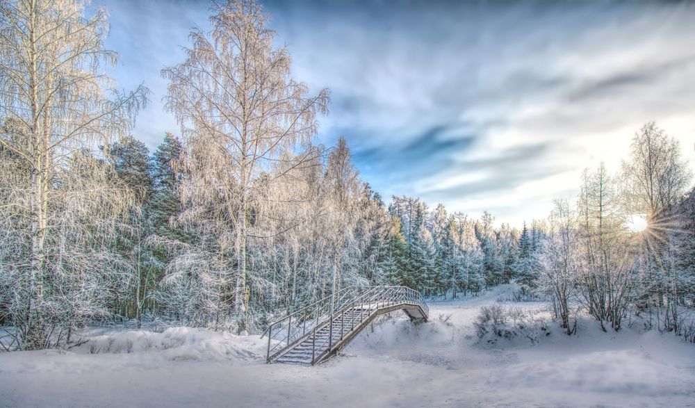 Photograph by Vladim Bormotov