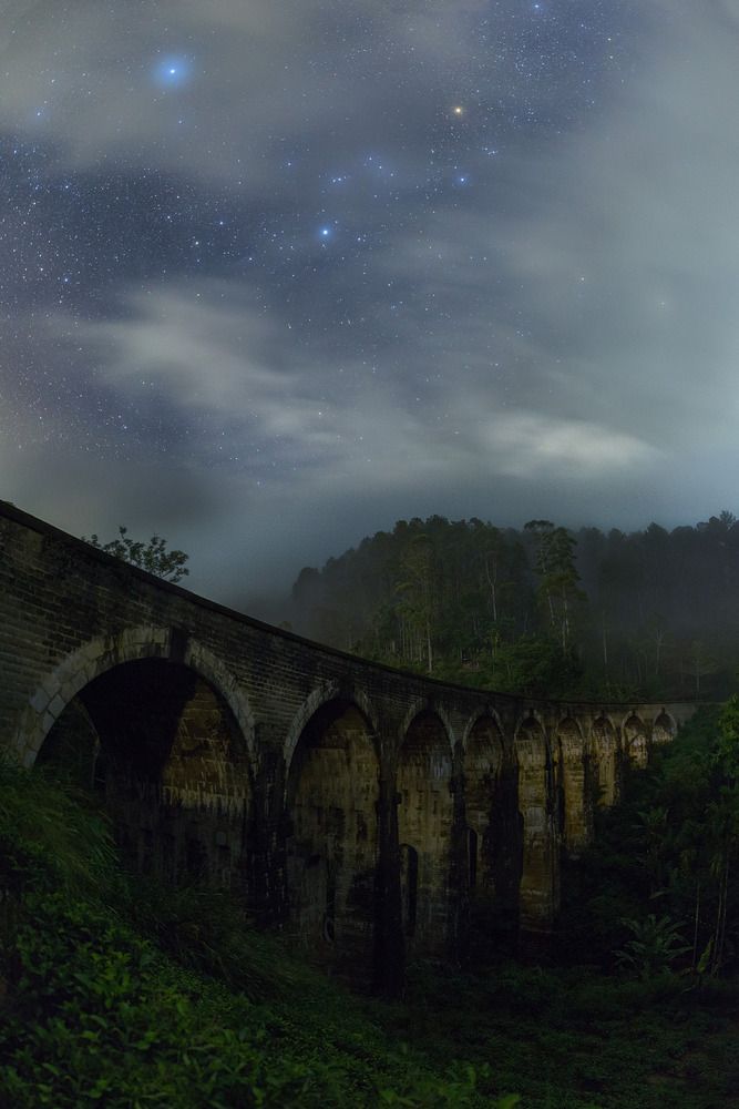 Фотография автора Антон Арефьев