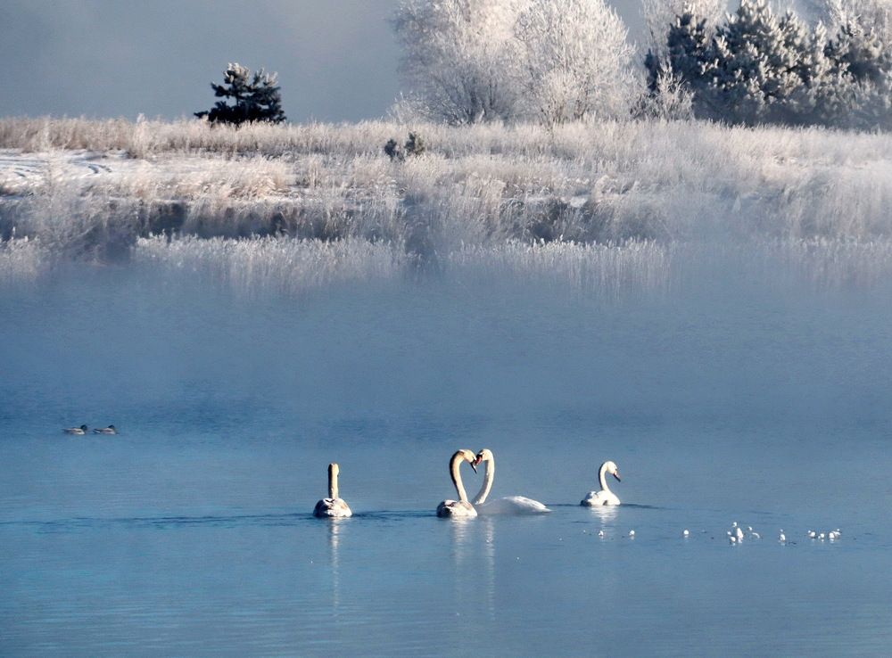 Photograph by Александр Лазебник