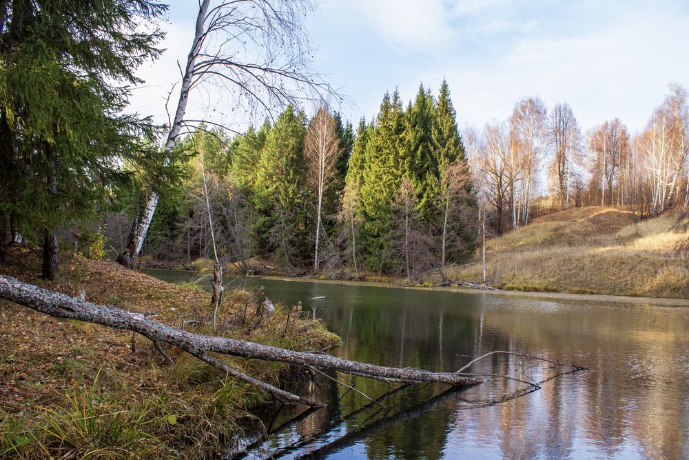 Photograph by Оксана Леонтьева