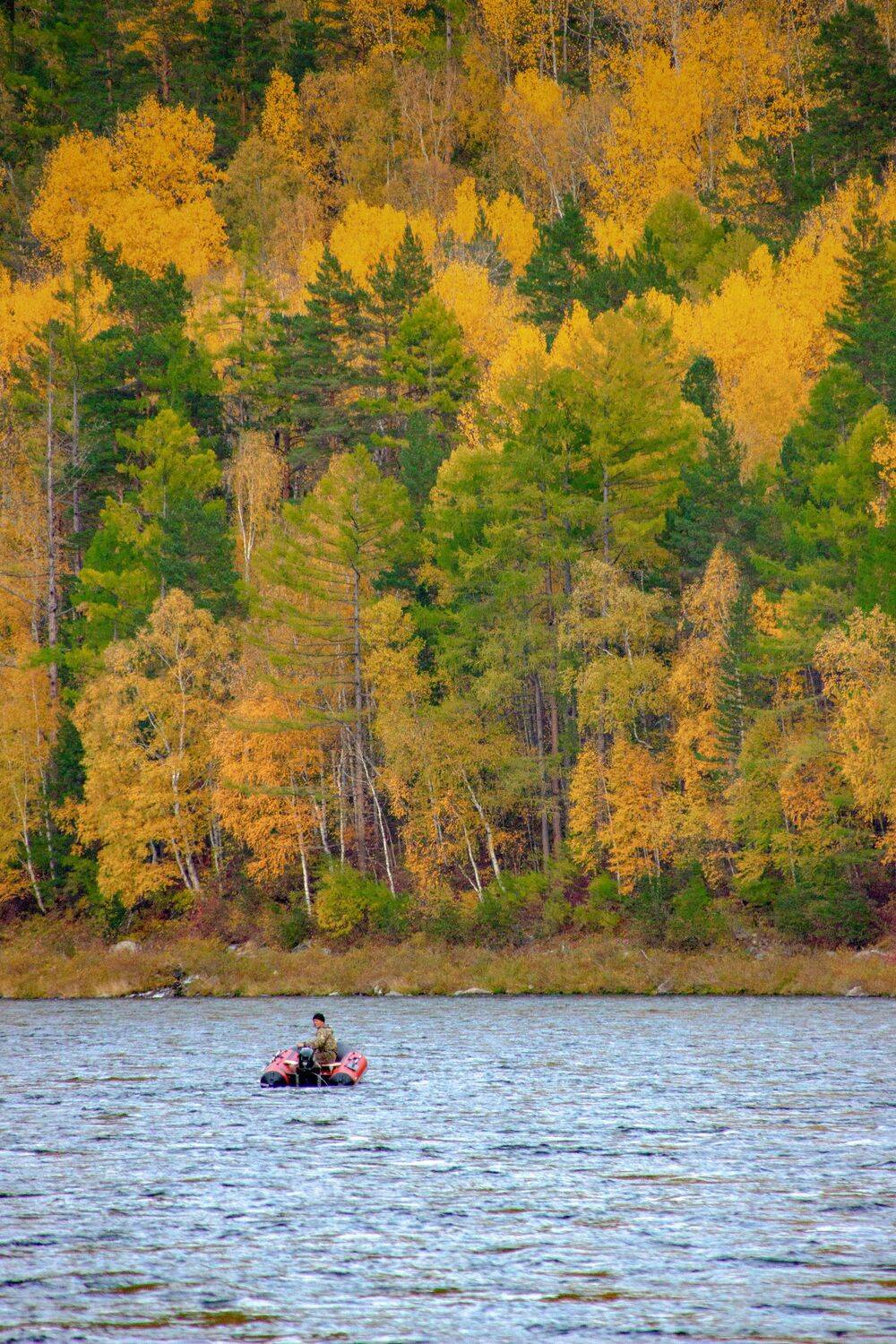 Фотография #13399083