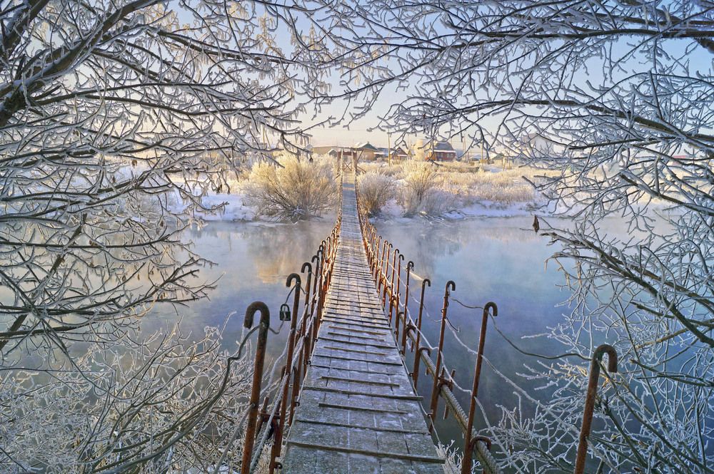 Photograph by Мишустина Татьяна