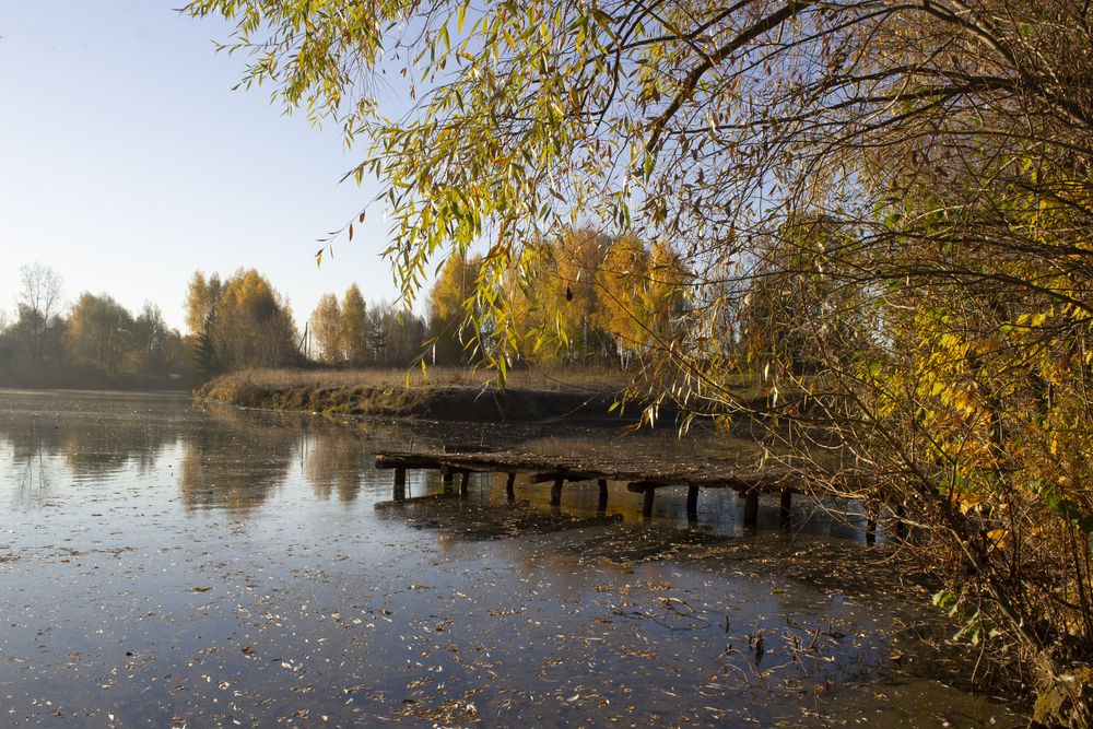 Photograph by Оксана Леонтьева