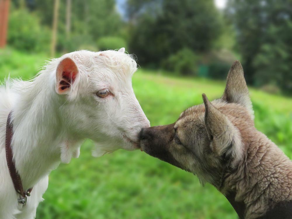 Photograph by Елена Кузина