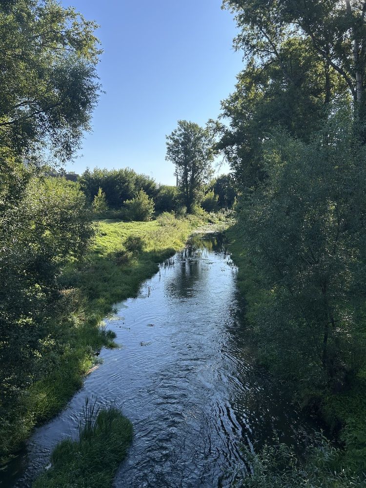 Фотография автора Наталья Крылова
