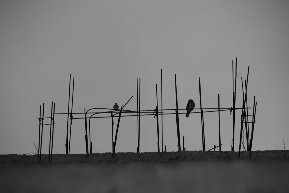 Photograph by Nourane Bouadjila