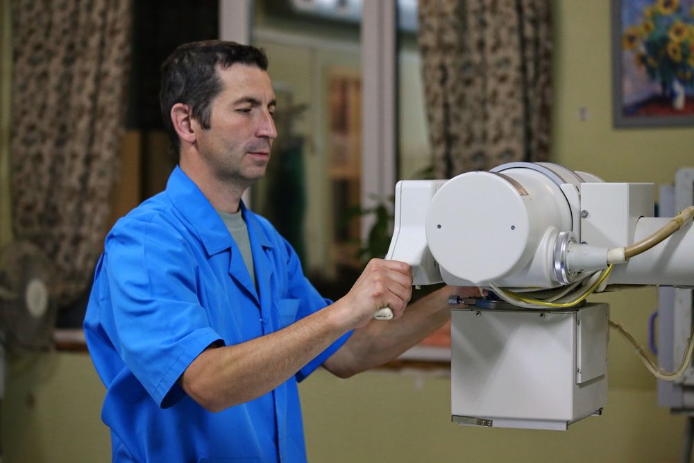 Фотография автора Татьяна Бравая