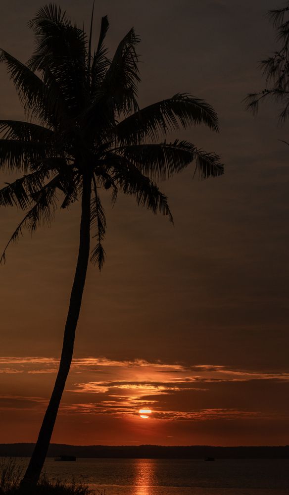 Evening Alignment