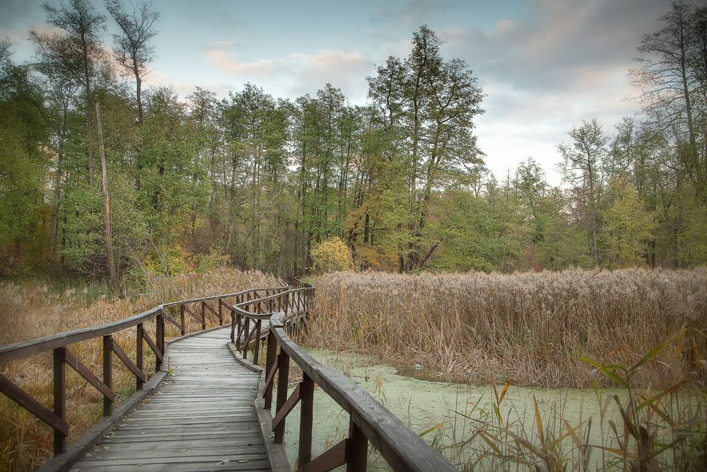 Photograph by Зоя Коптева