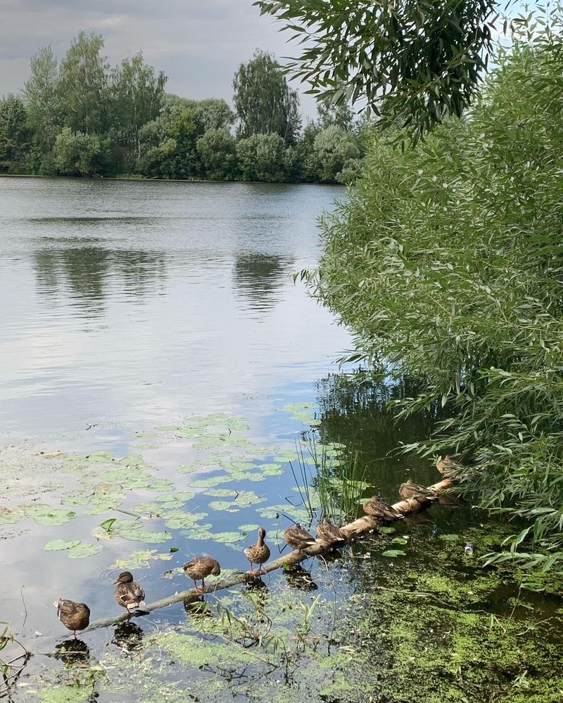 Photograph by Ксения