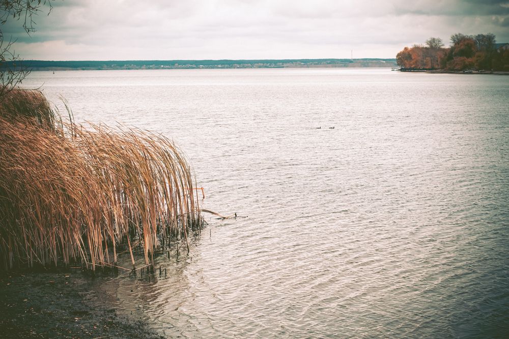 Photograph by Алексей Морозов