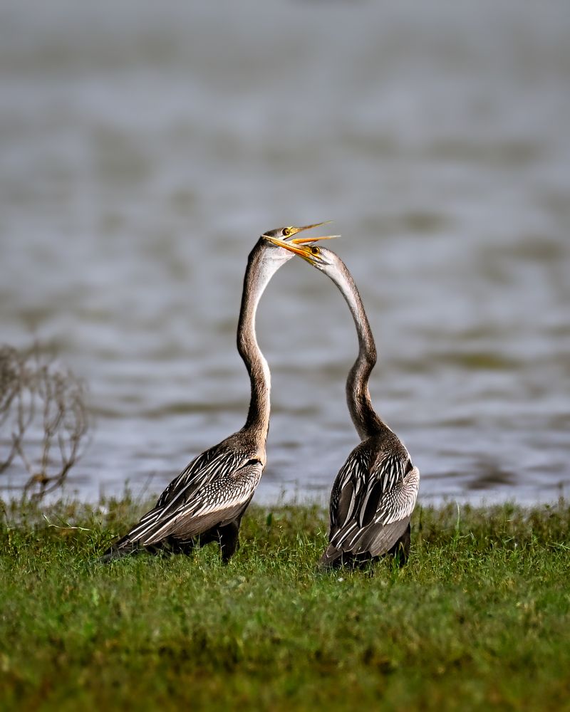 Photograph by Aaron R S