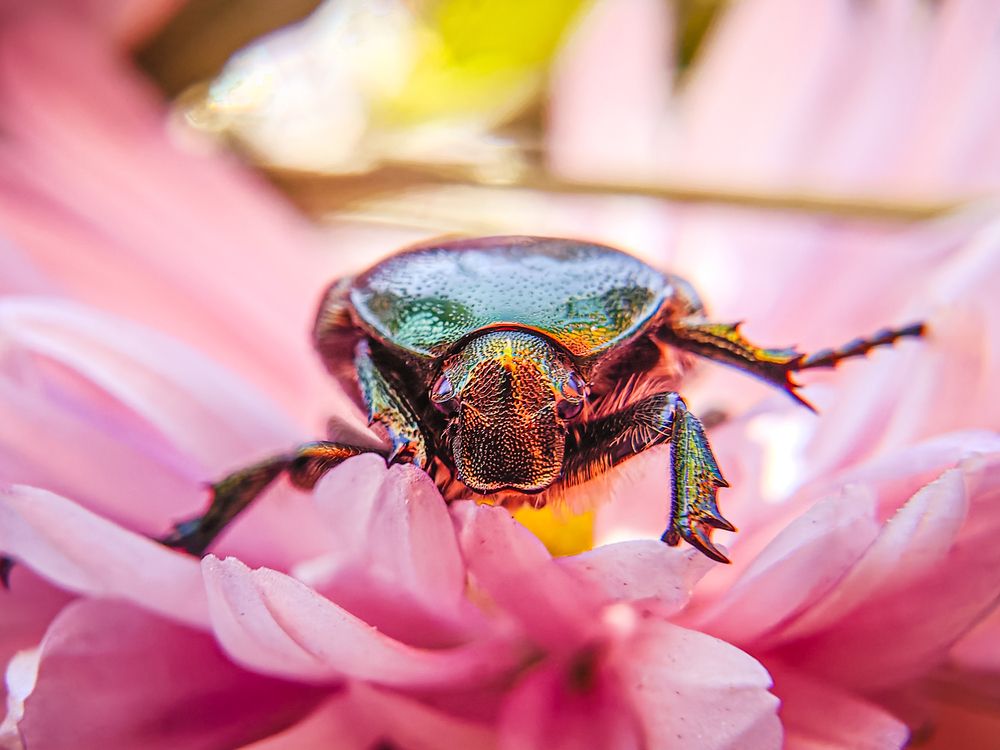 Photograph by Елена Макеева