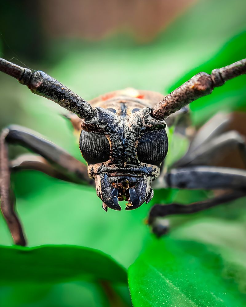 Photograph by Aaron R S