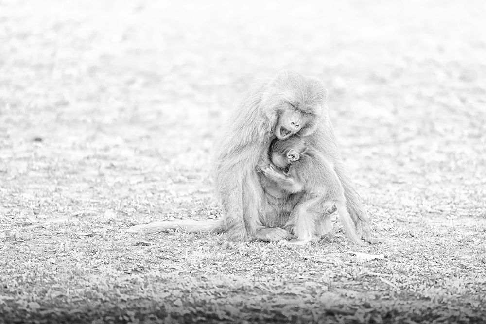 Фотография автора Bhupender Gupta