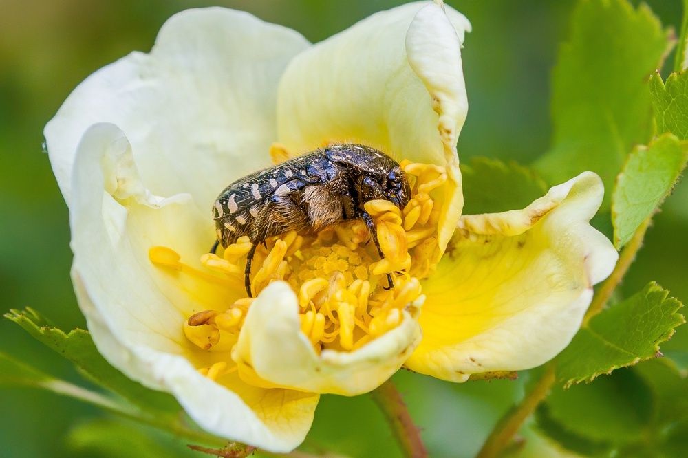 Photograph by Валерий Федяров