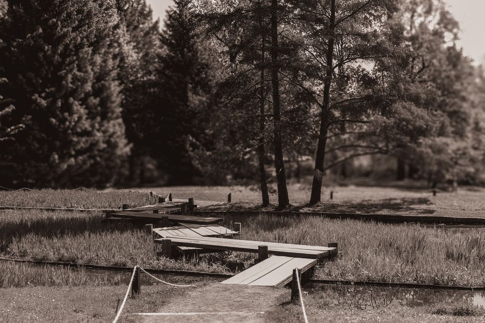 Почти по-японски