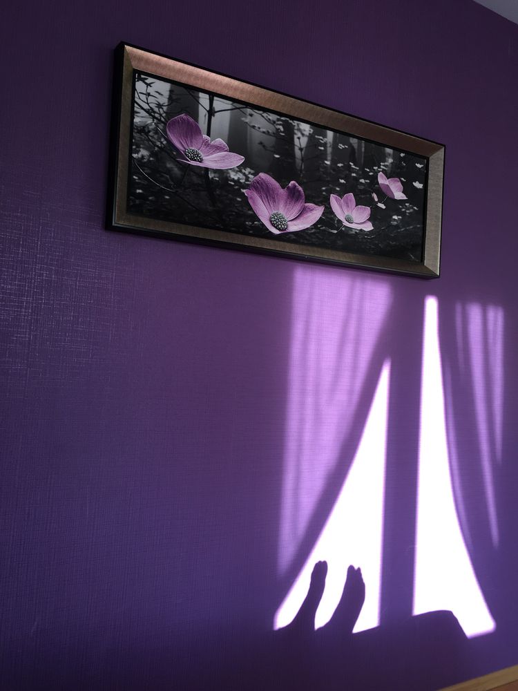 Photograph by Михаил Хромаков