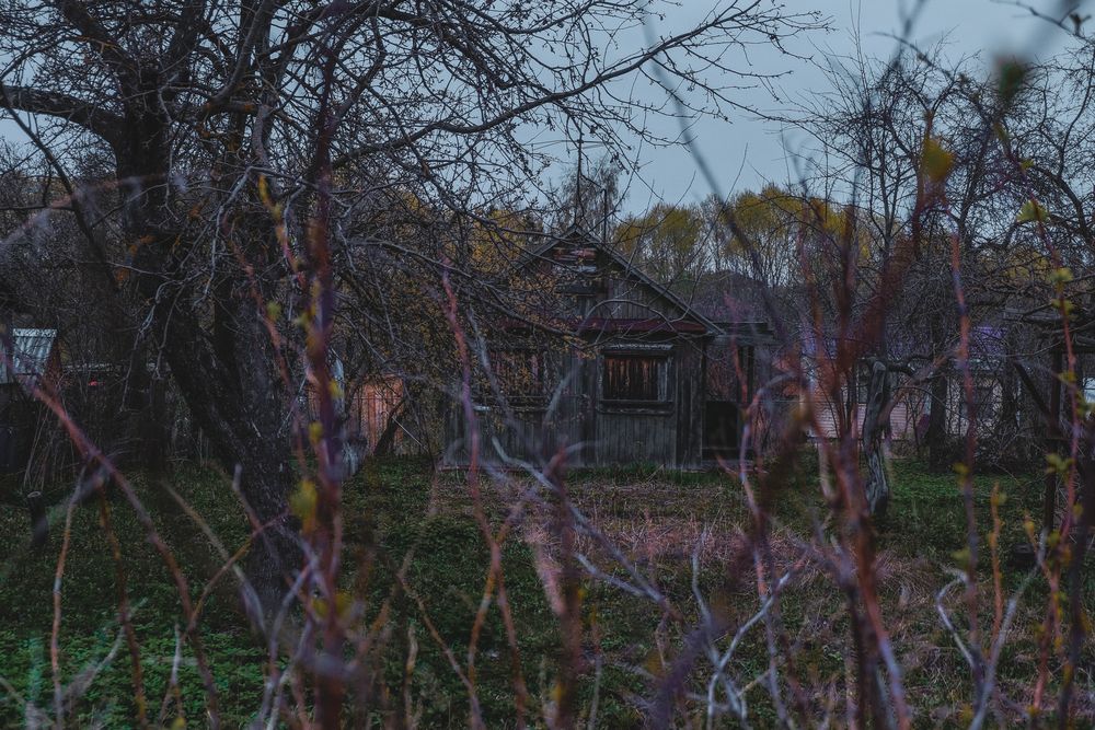 Заброшенные дачи