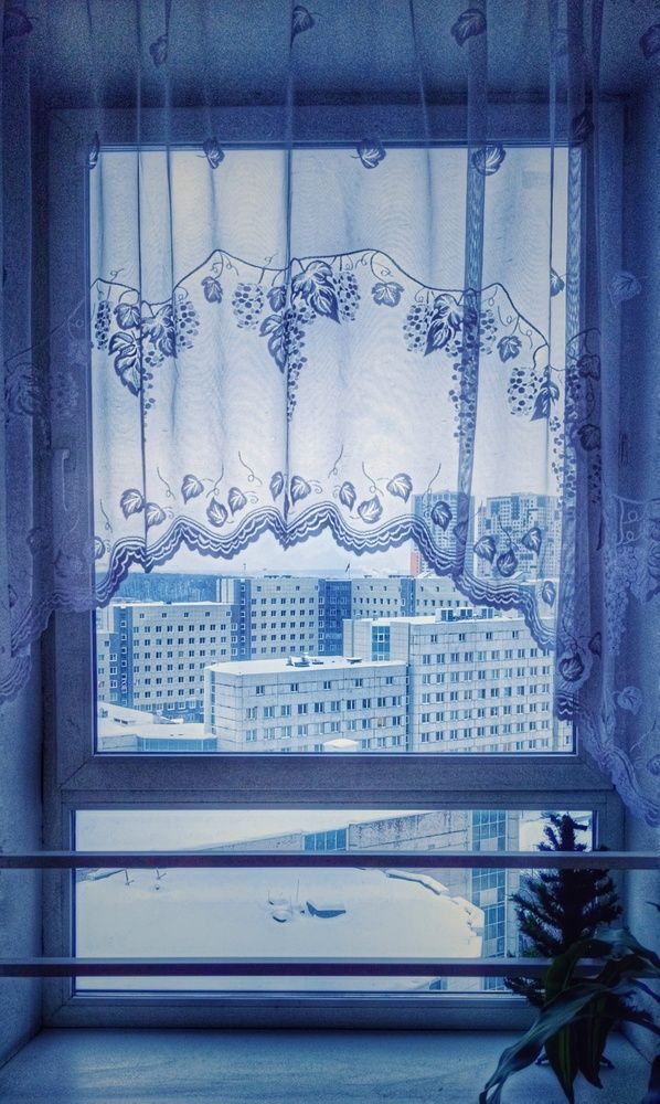 Photograph by мария Жигалова