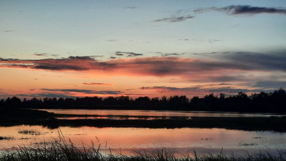 Photograph by Екатерина Антонова