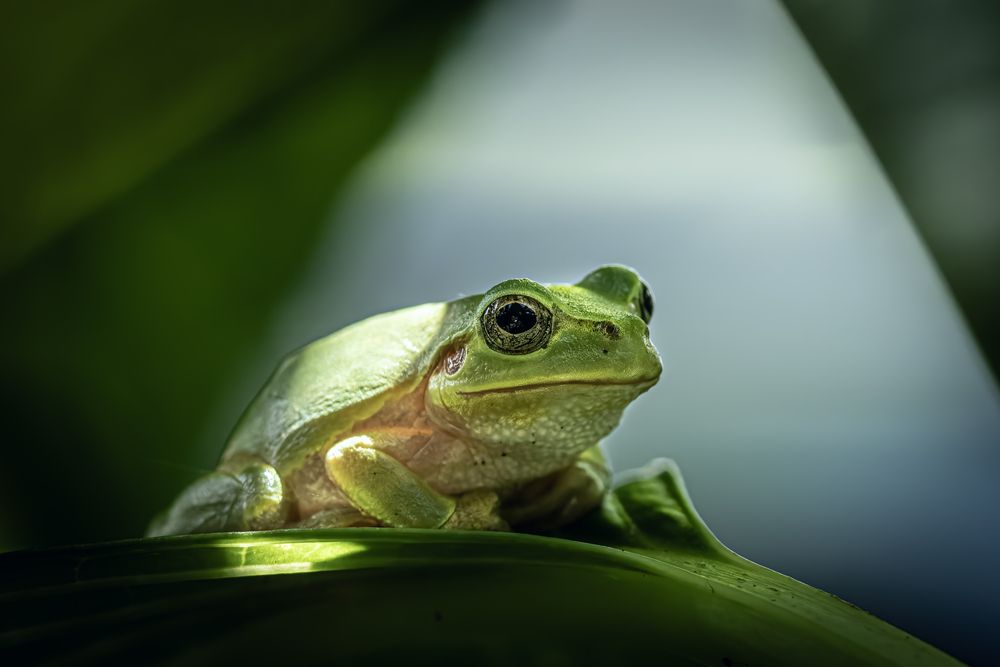 Фотография автора KOHAGI