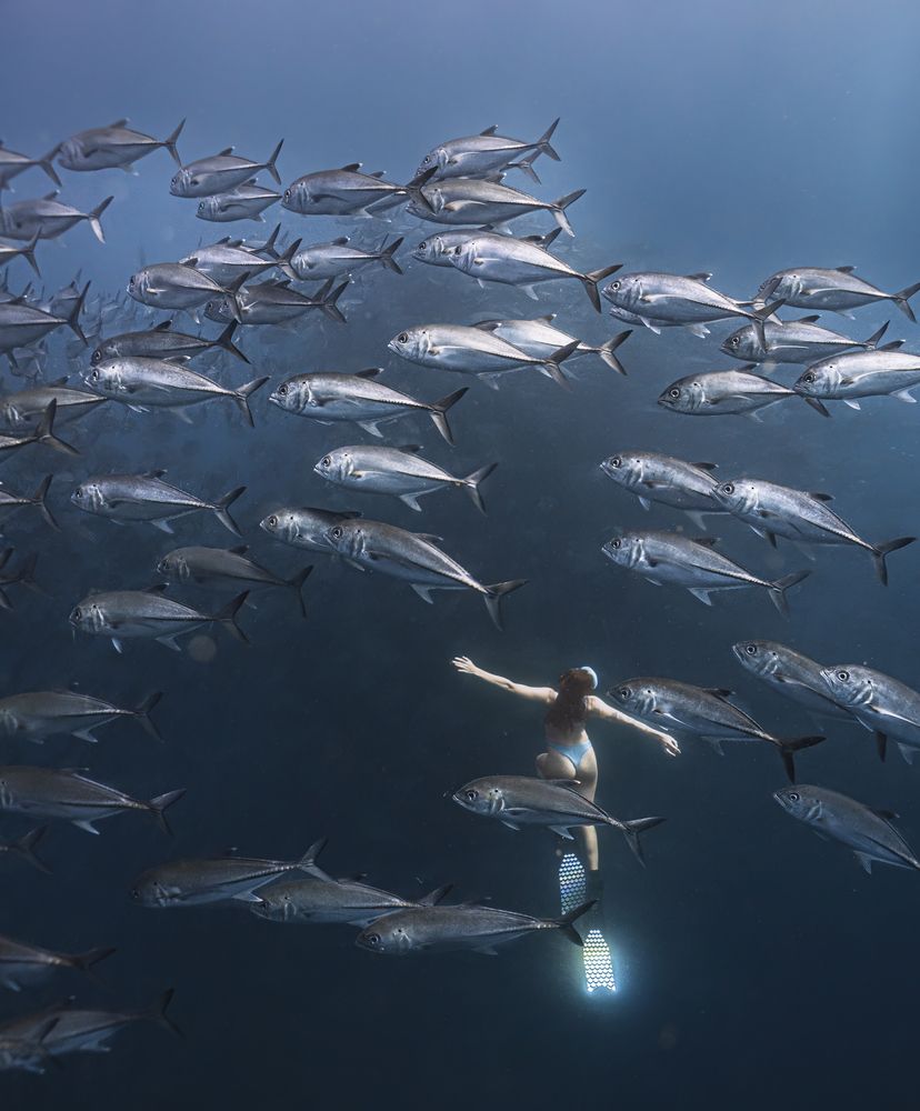 Surrounded by fish