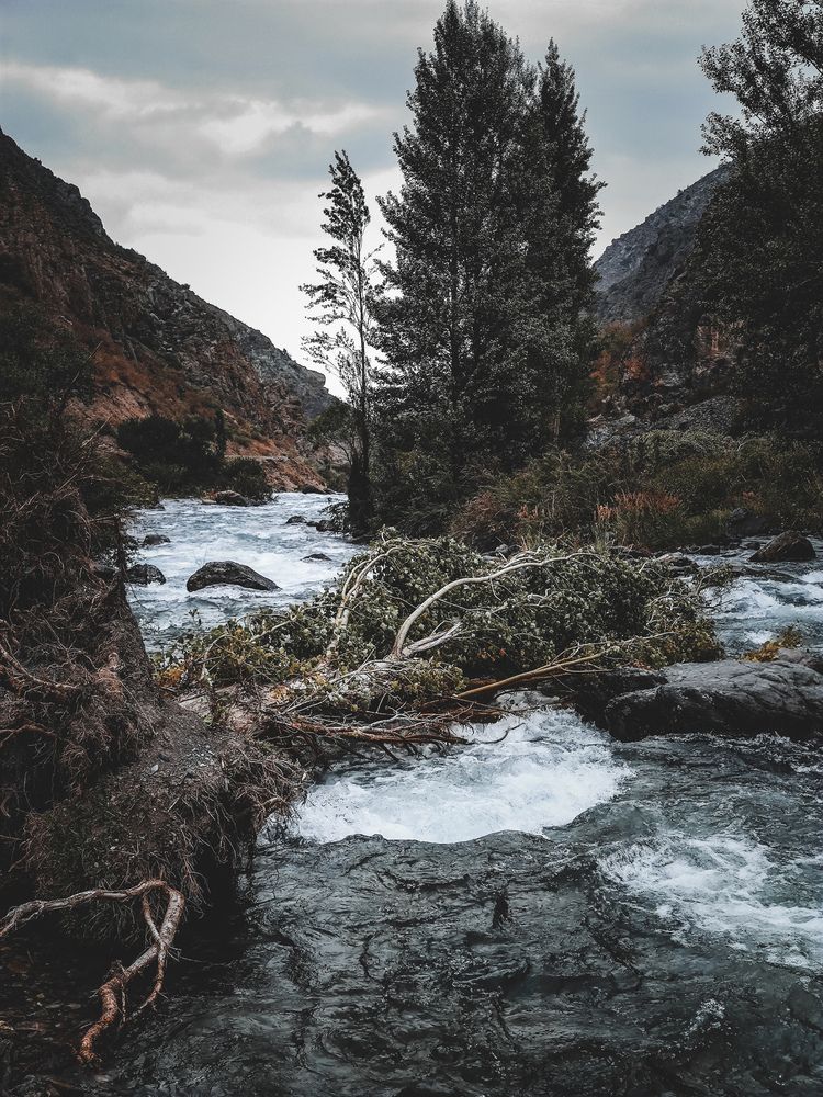 Фотография автора Kristina Shefer