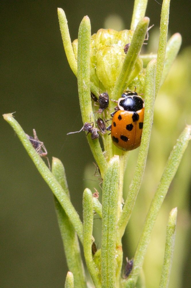 Photograph by Paula Torrent