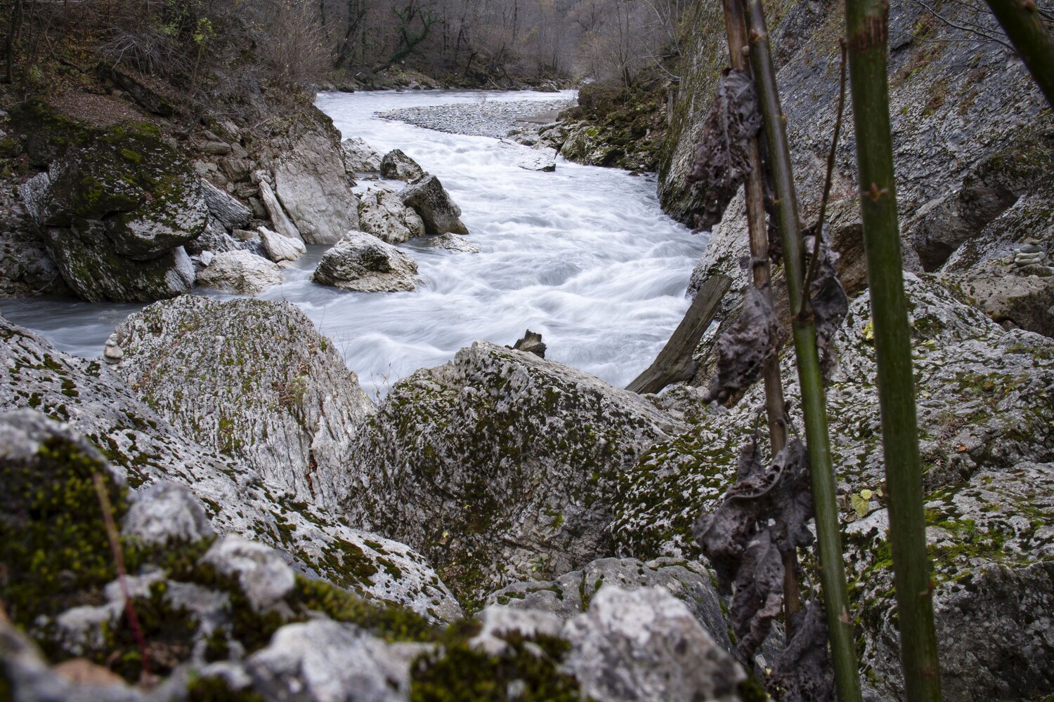 Photo #13399897