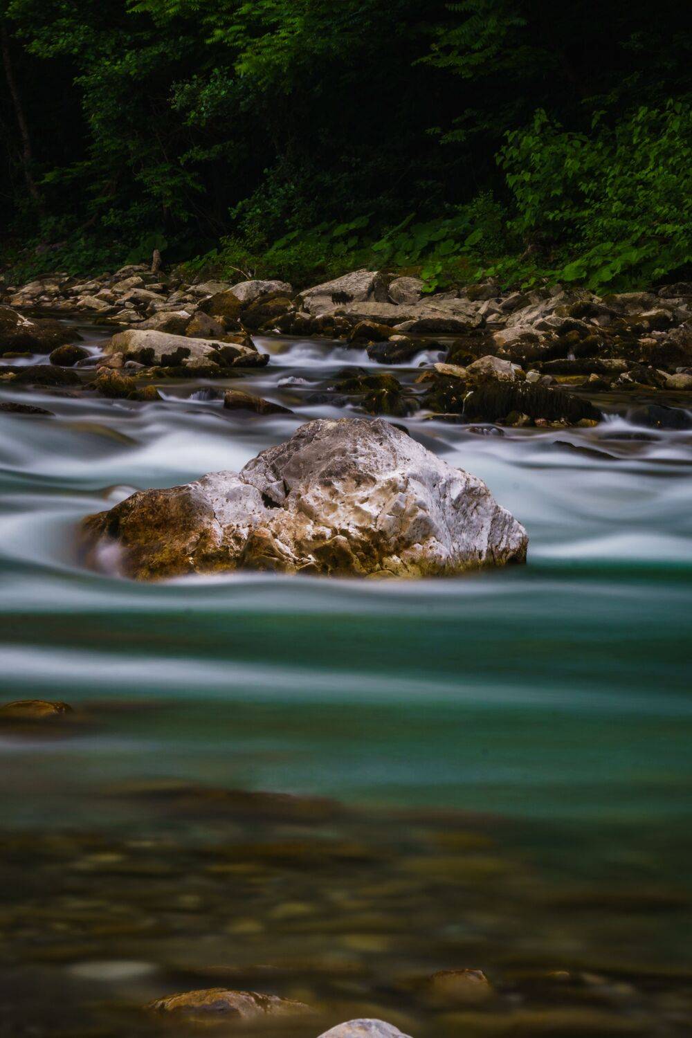 Photo #13399972