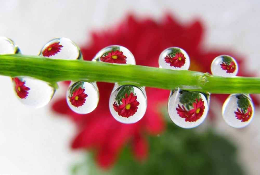 В капле воды